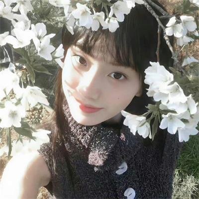 萌道猎妖记